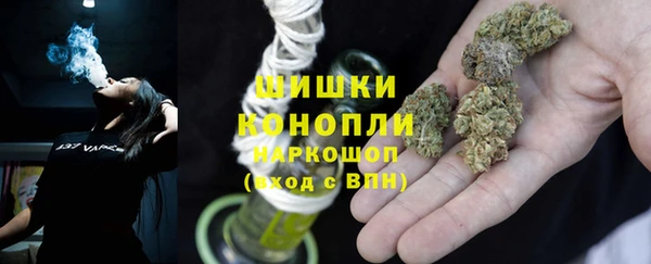 альфа пвп Новодвинск