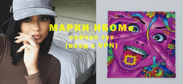 альфа пвп Новодвинск