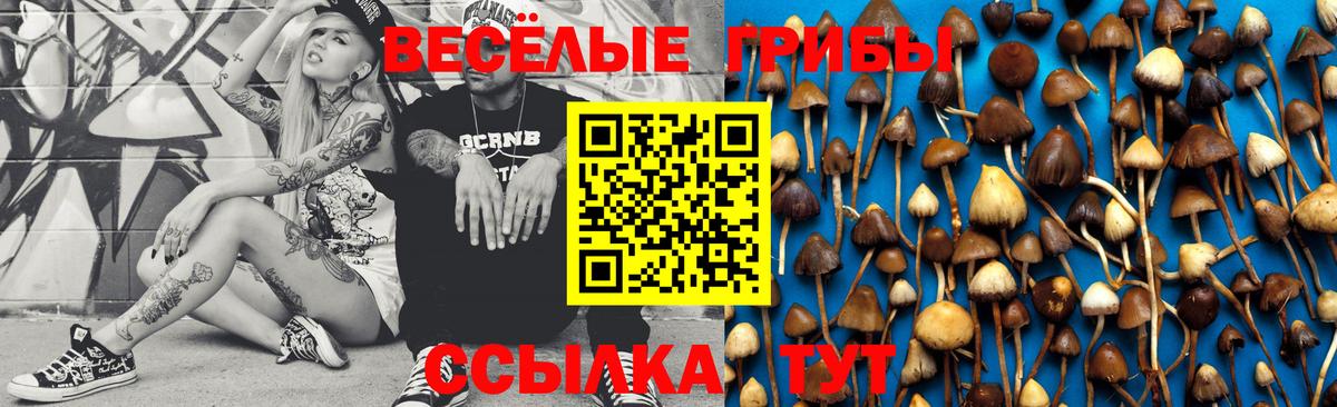 Галлюциногенные грибы мицелий  Вход с VPN  Тобольск 